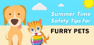summer tim safety tips for furry pets