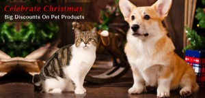 Celebrate This Christmas With Your Pet. Big Discounts On Pet Products