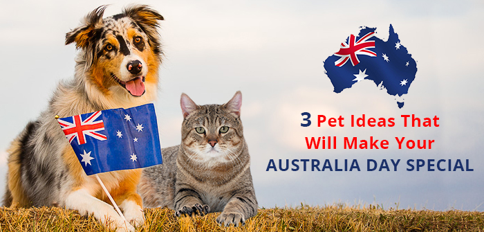 3 Pet Ideas That Will Make Your Australia Day Special