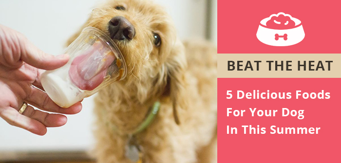 Beat The Heat: 5 Delicious Foods For Your Dog This Summer