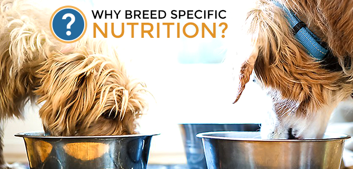 Why Breed Specific Nutrition?