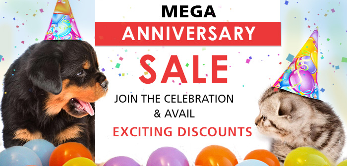 Mega Anniversary Sale: Join The Celebration And Avail Exciting Discounts