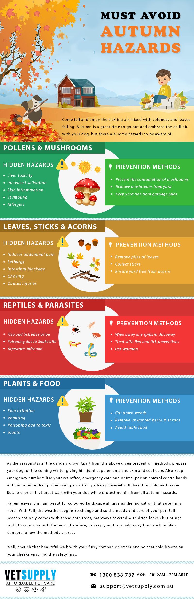 Autumn Hazards And Its Prevention Methods Vetsupply