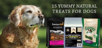 15 Yummy Natural Treats For Dogs