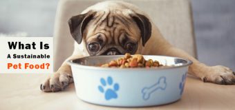What Is A Sustainable Pet Food?