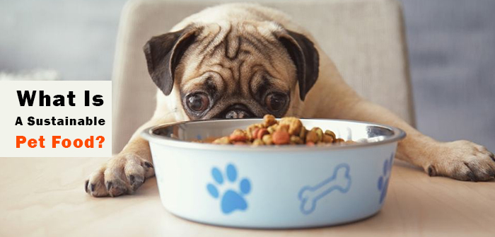 what is sustainable pet food