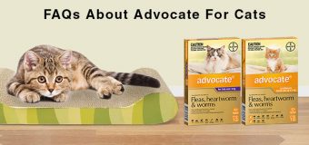 FAQs About Advocate For Cats