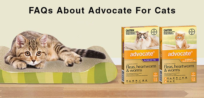 advocate flea treatment for cats