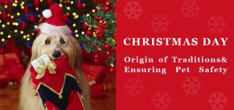 Christmas Day-Origin of Traditions& Ensuring Pet Safety
