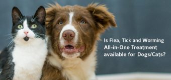 Is Flea, Tick and Worming – All-in-One Treatment available for Dogs/Cats?