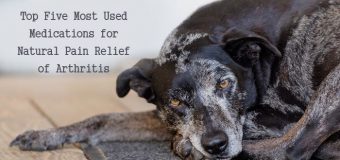 Top Five Most Used Medications for Natural Pain Relief of Arthritis