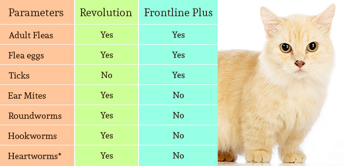 revolution flea and heartworm for cats