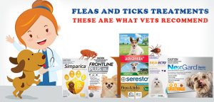 Vet's Recommended Flea & Tick Treatments