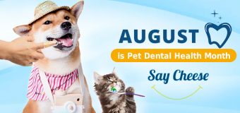 August is Pet Dental Health Month: Say Cheese!!