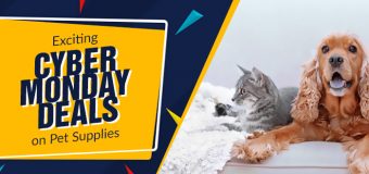 Exciting Cyber Monday Deals on Pet Supplies