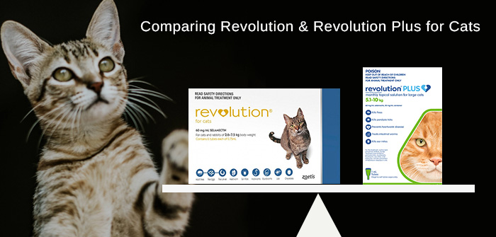 Revolution For Cats vs Revolution Plus For Cats VetSupply