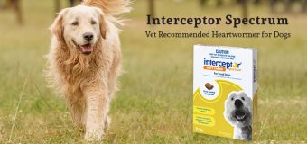 Interceptor Spectrum: Vet Recommended Heartwormer for Dogs