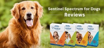 Sentinel Spectrum for Dogs – Reviews