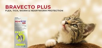Bravecto Plus – Flea, Tick, Worm & Heartworm Protection