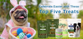 Celebrate Easter with These Top Five Treats