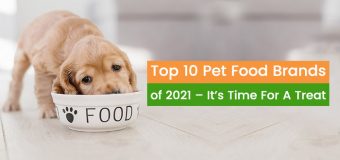 Top 10 Pet Food Brands of 2021 –It’s Time For A Treat