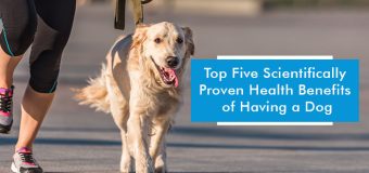 Five Scientifically Proven Health Benefits of Having a Dog