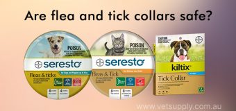 Are flea and tick collars safe?