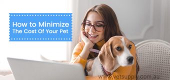 How to Minimize The Cost Of Your Pet