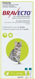 bravecto spot on for cats