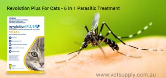 Revolution Plus For Cats- A Powerful 6 In 1 Parasitic Treatment