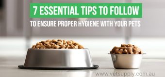 7 Essential Tips To Follow To Ensure Proper Hygiene With Your Pets