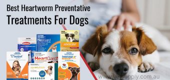 Best Heartworm Preventative Treatments For Dogs