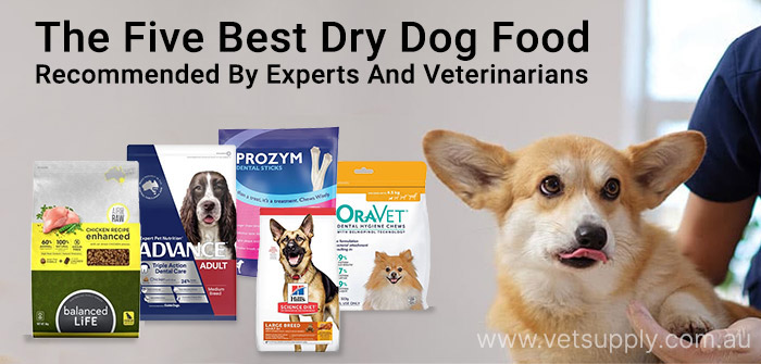 dog food for allergies australia