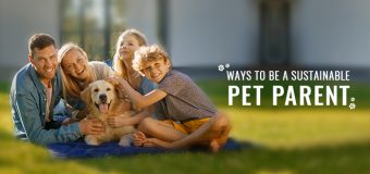 Ways to be a Sustainable Pet Parent