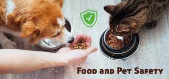 Food and Safety for Pets