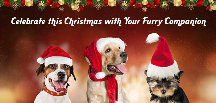 Christmas with pets 2021