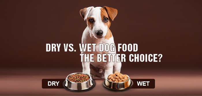 is dry or wet food better for dogs