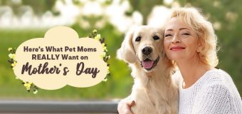 Here’s What Pet Moms REALLY Want on Mother’s Day