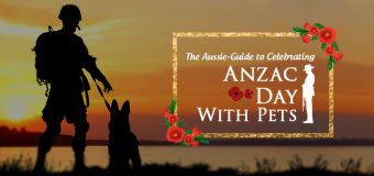 The Aussie Guide to Celebrating Anzac Day with Pets