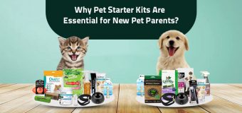 Why Pet Starter Kits Are Essential for New Pet Parents?