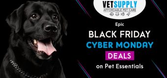 VetSupply’s Epic Black Friday-Cyber Monday Deals on Pet Essentials