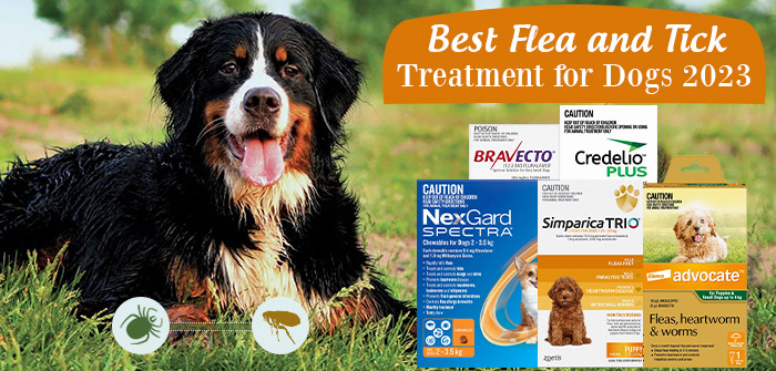 what is the safest flea treatment for puppies