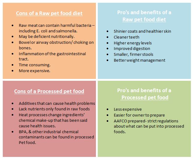 Pros and cons of raw dog food
