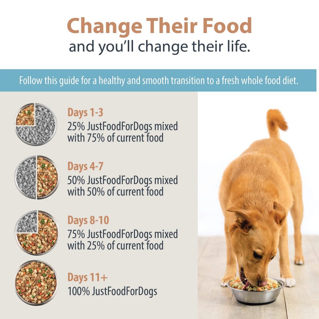 steps to change dog food
