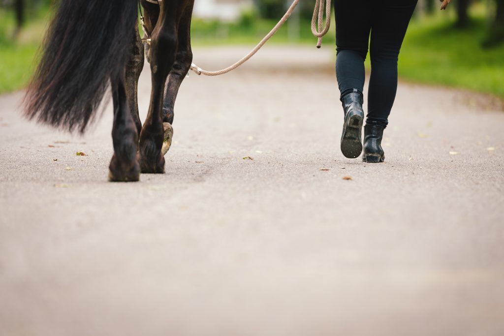 walking with horse
