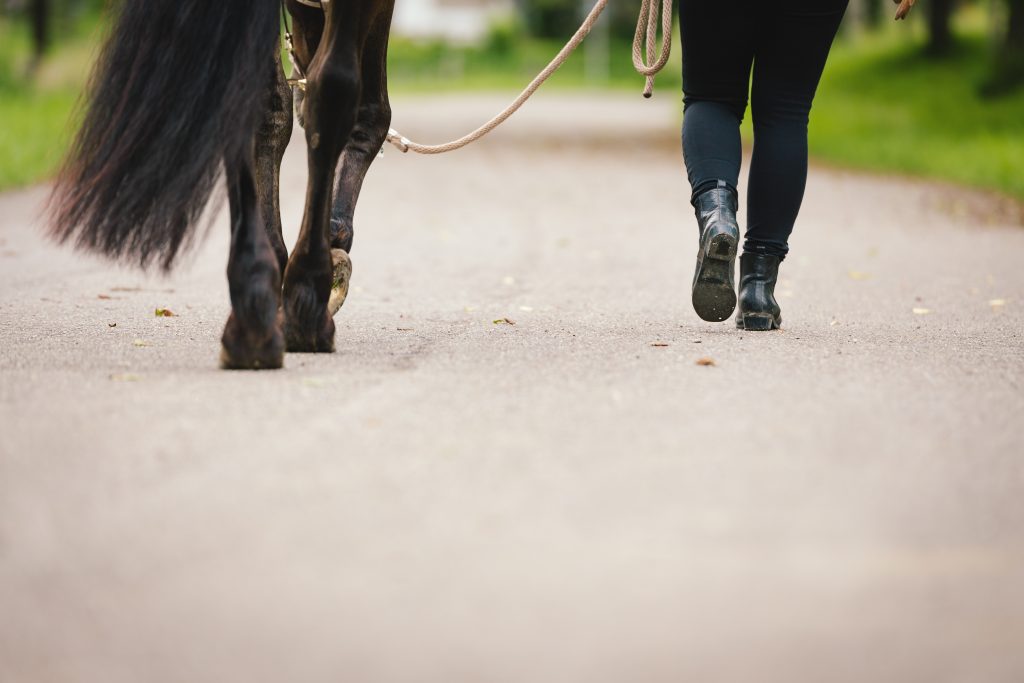 walking with horse
