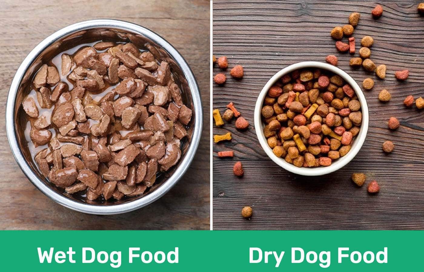 Dry vs. Wet Dog Food The better choice? VetSupply