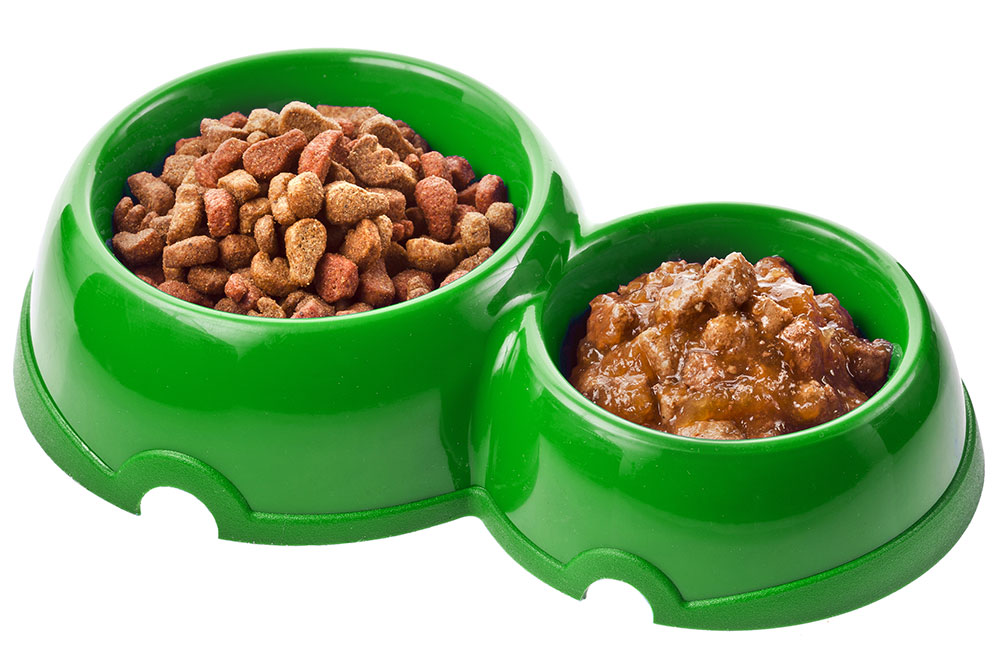 Selecting The Best Dog Food