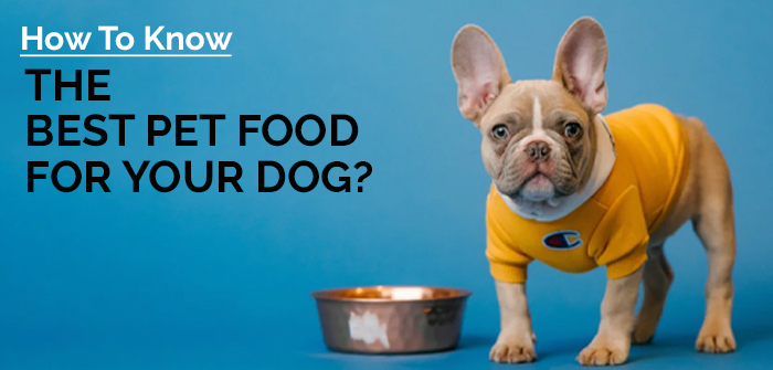 Best Pet Food For Your Dog