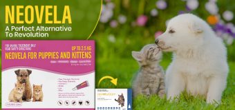 Neovela- A Perfect Alternative To Revolution